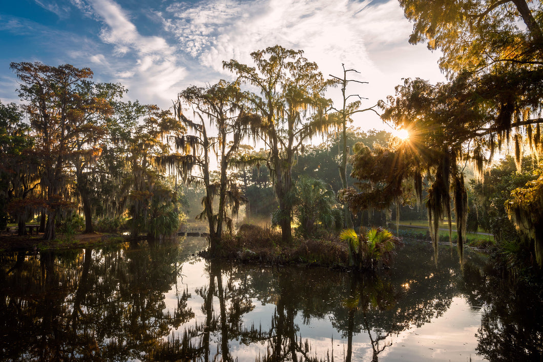 Lagoon